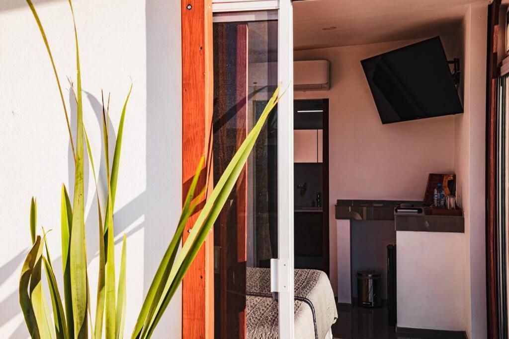 Villa Cabana El Alamo Con Jacuzzi à Valle de Guadalupe Extérieur photo